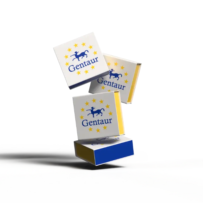 10x SDS PAGE Running Buffer